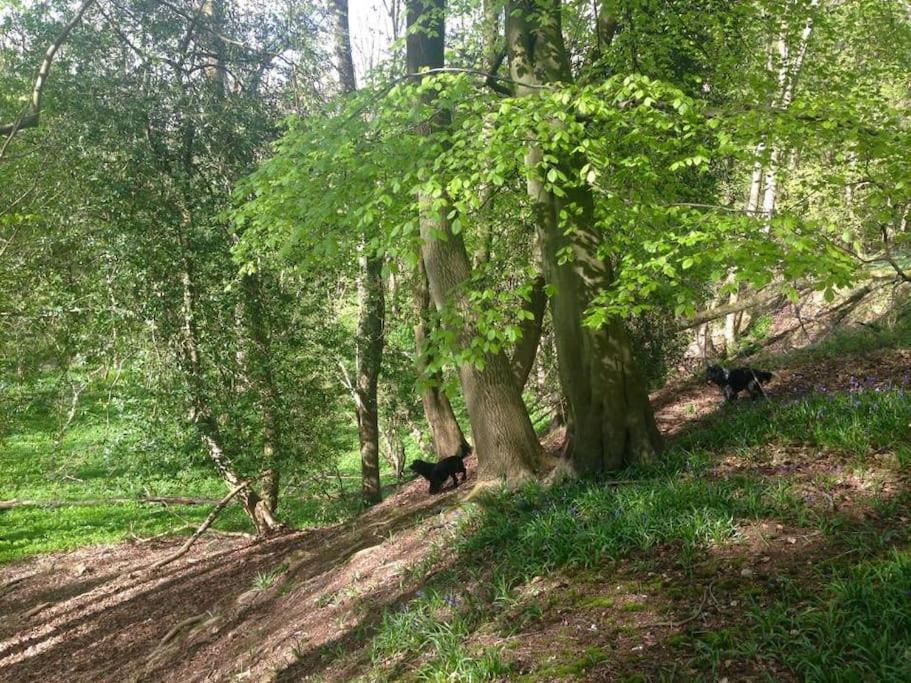 Bumblebee Cottage - Cosy Cottage In Area Of Outstanding Natural Beauty Hemel Hempstead Luaran gambar