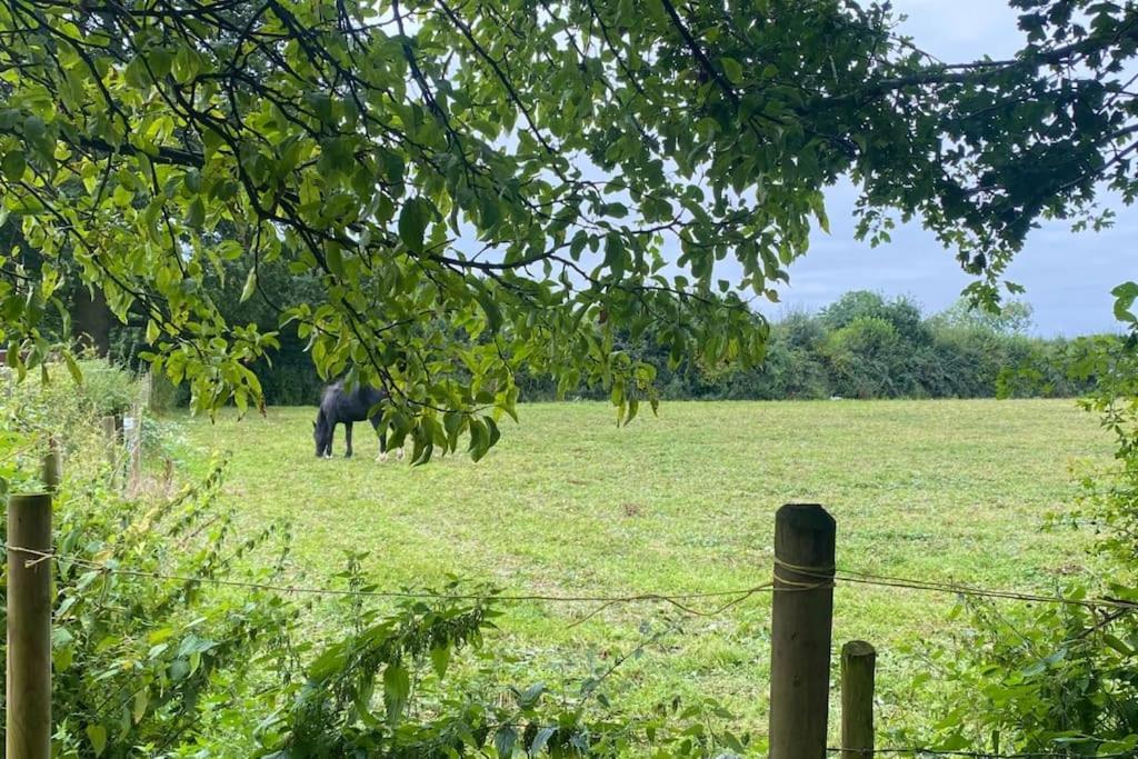 Bumblebee Cottage - Cosy Cottage In Area Of Outstanding Natural Beauty Hemel Hempstead Luaran gambar